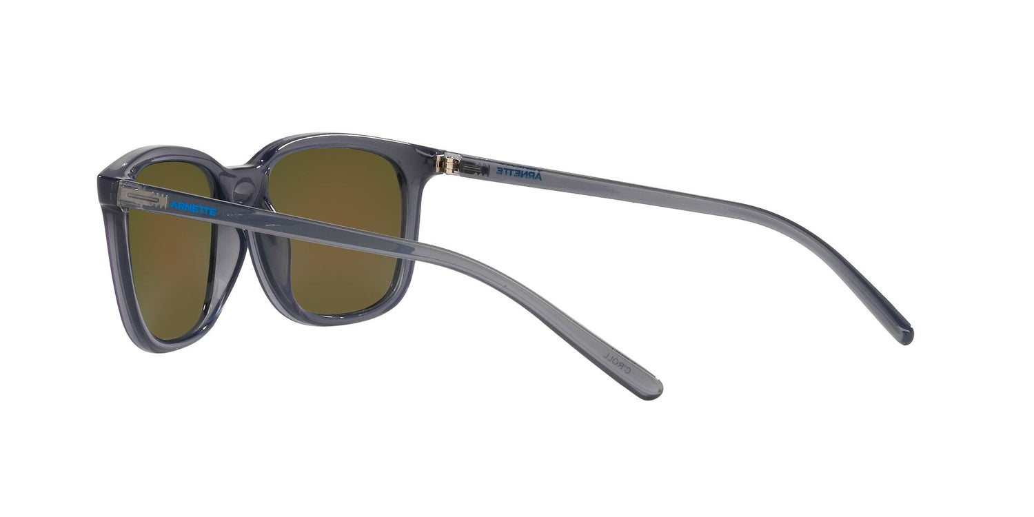 ARNETTE AN4316 C&