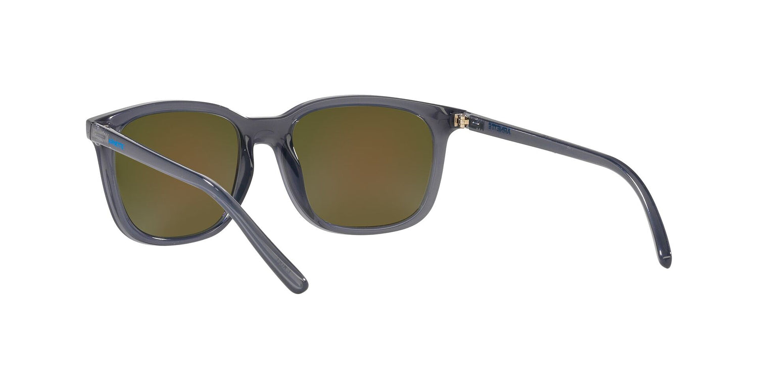 ARNETTE AN4316 C&