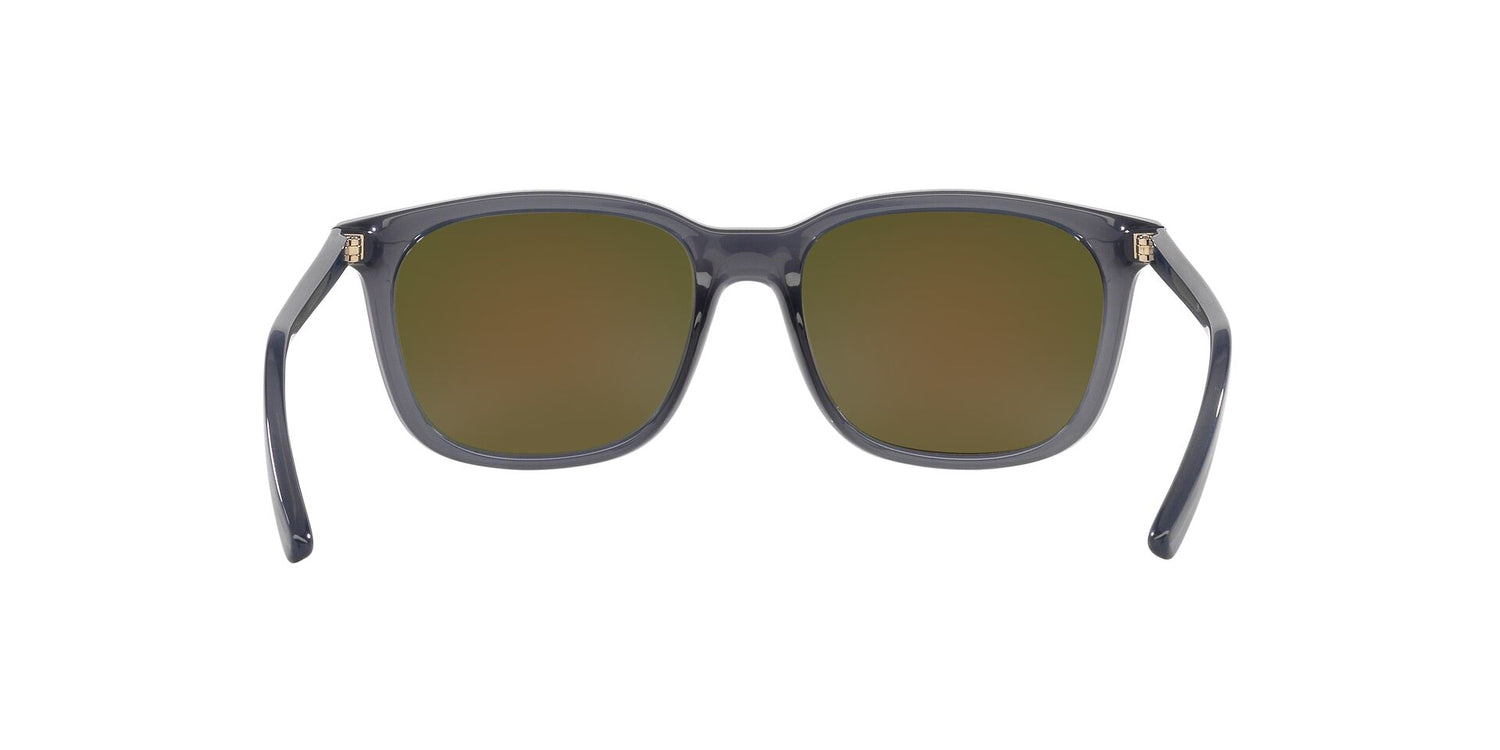 ARNETTE AN4316 C&
