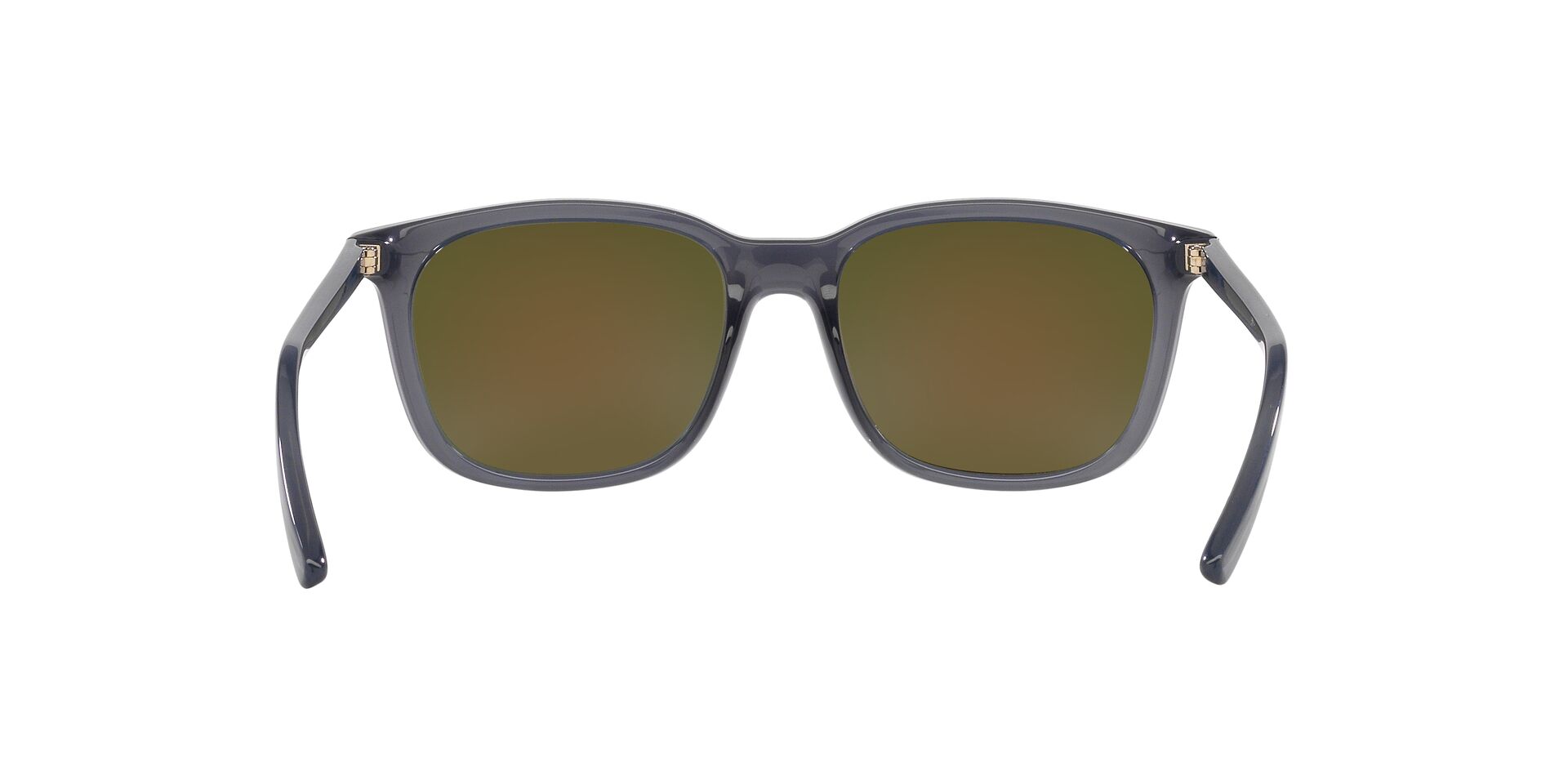 ARNETTE AN4316 C&