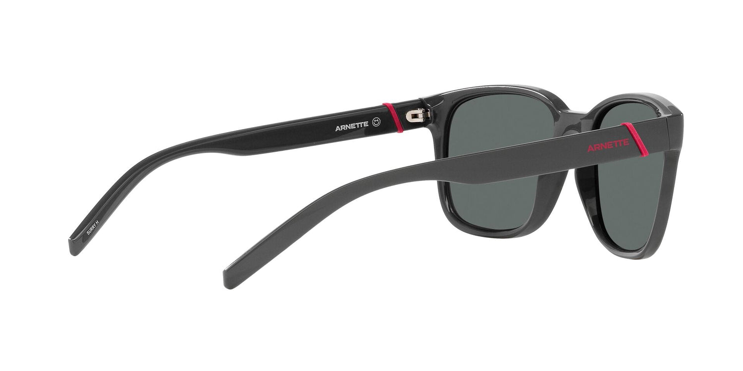 ARNETTE AN4320 SURRY H 287081 55