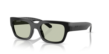 ARNETTE AN4354 MYNDEGAP 2900/2 49