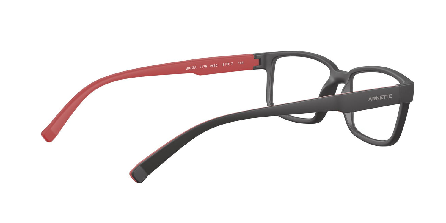 ARNETTE AN7175 BIXIGA 2580 51