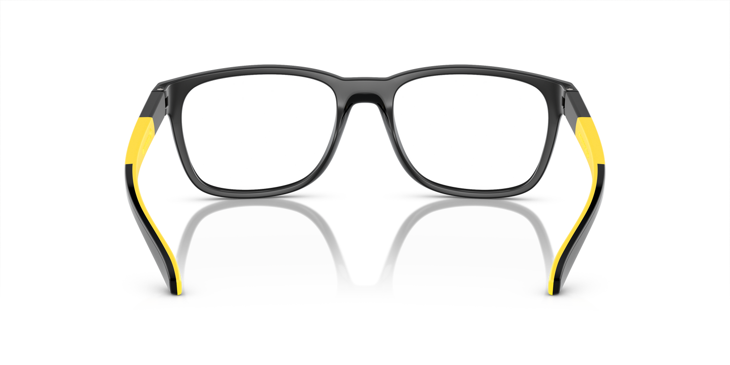 ARNETTE AN7240U ORIBEE 2904 53
