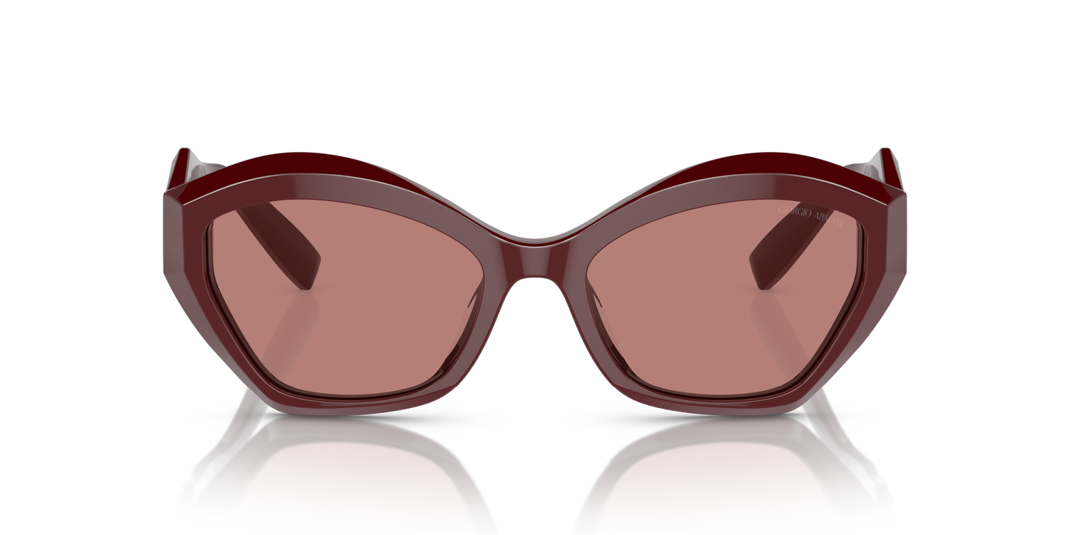 GIORGIO ARMANI AR8187U 599430 54