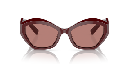 GIORGIO ARMANI AR8187U 599430 54