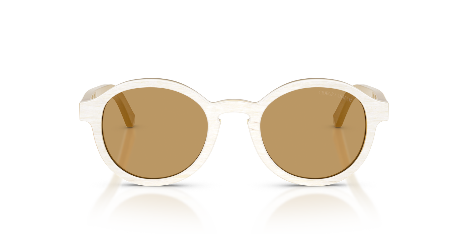 GIORGIO ARMANI AR8240 628373 47