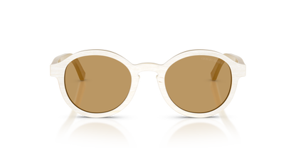 GIORGIO ARMANI AR8240 628373 47