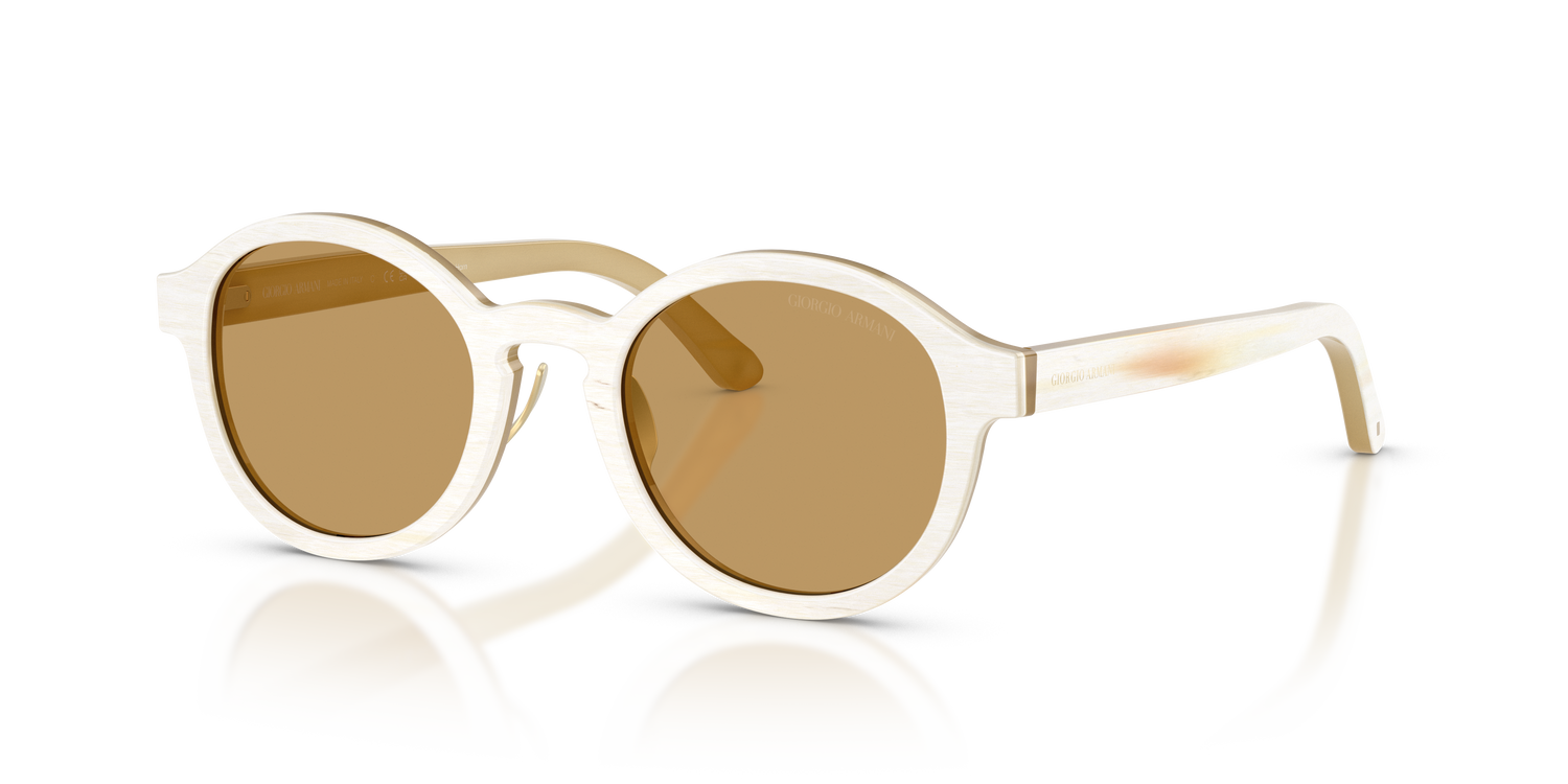 GIORGIO ARMANI AR8240 628373 47