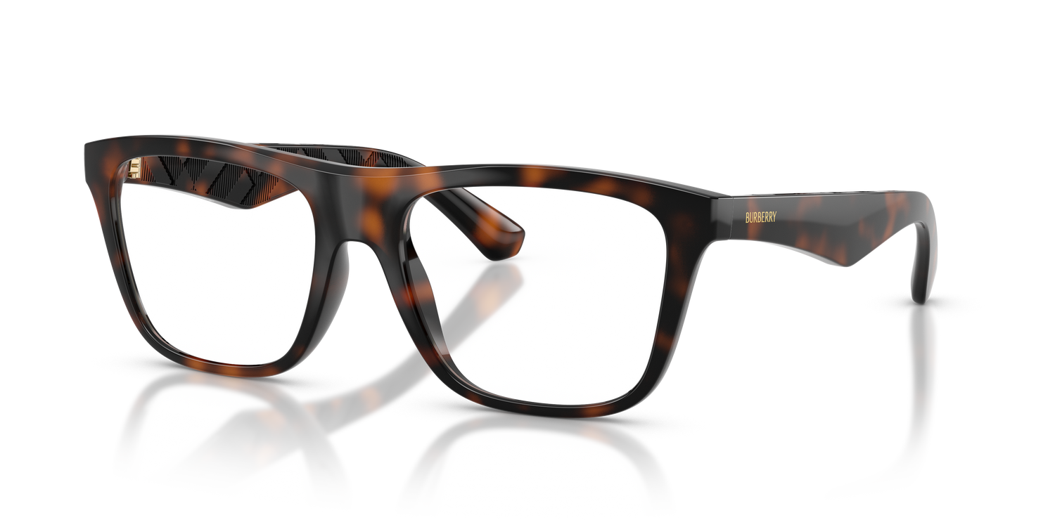 Burberry BE2432U 3002 55