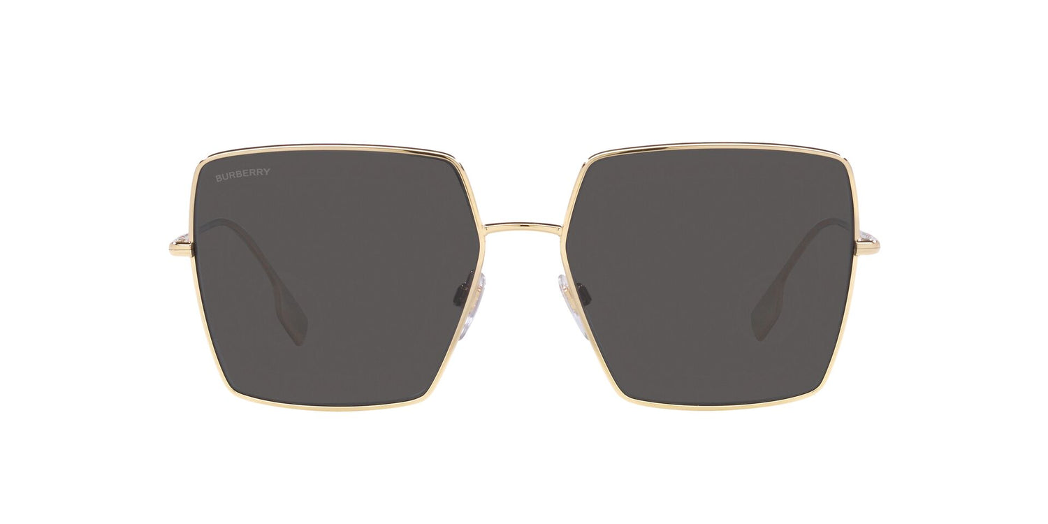 Burberry BE3133 DAPHNE 110987 58
