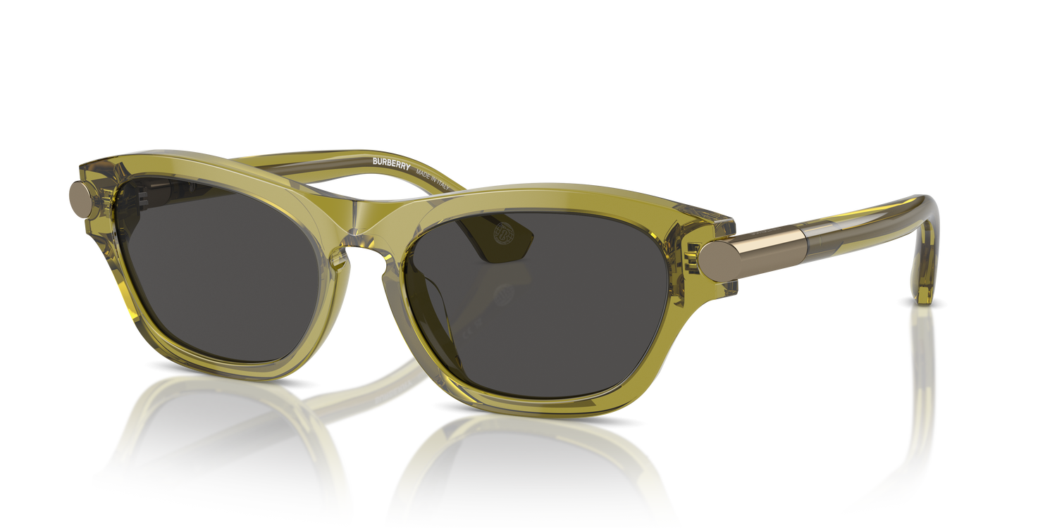 Burberry BE4430U 411887 55