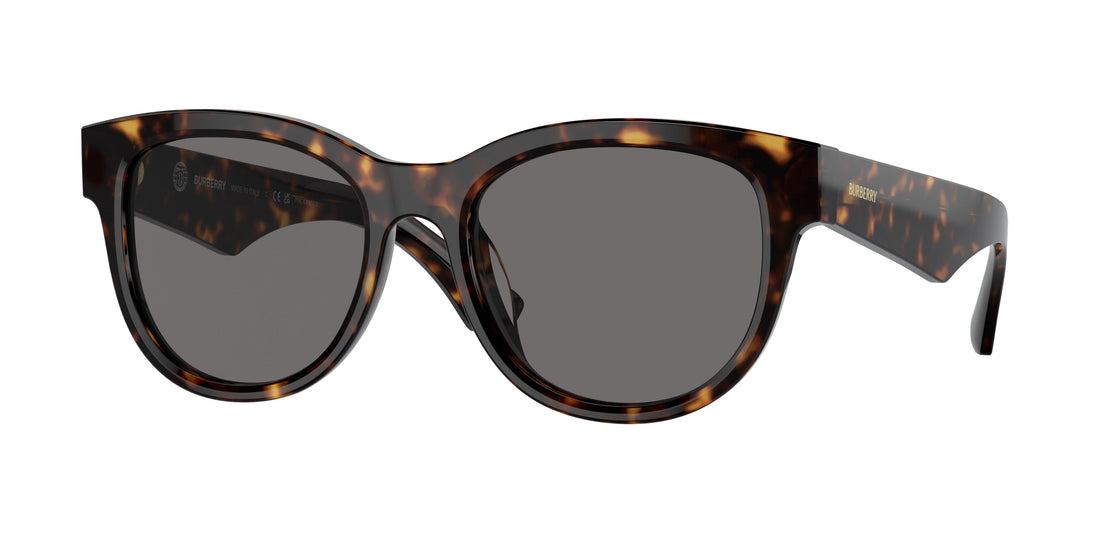 Burberry BE4432U 300281 54