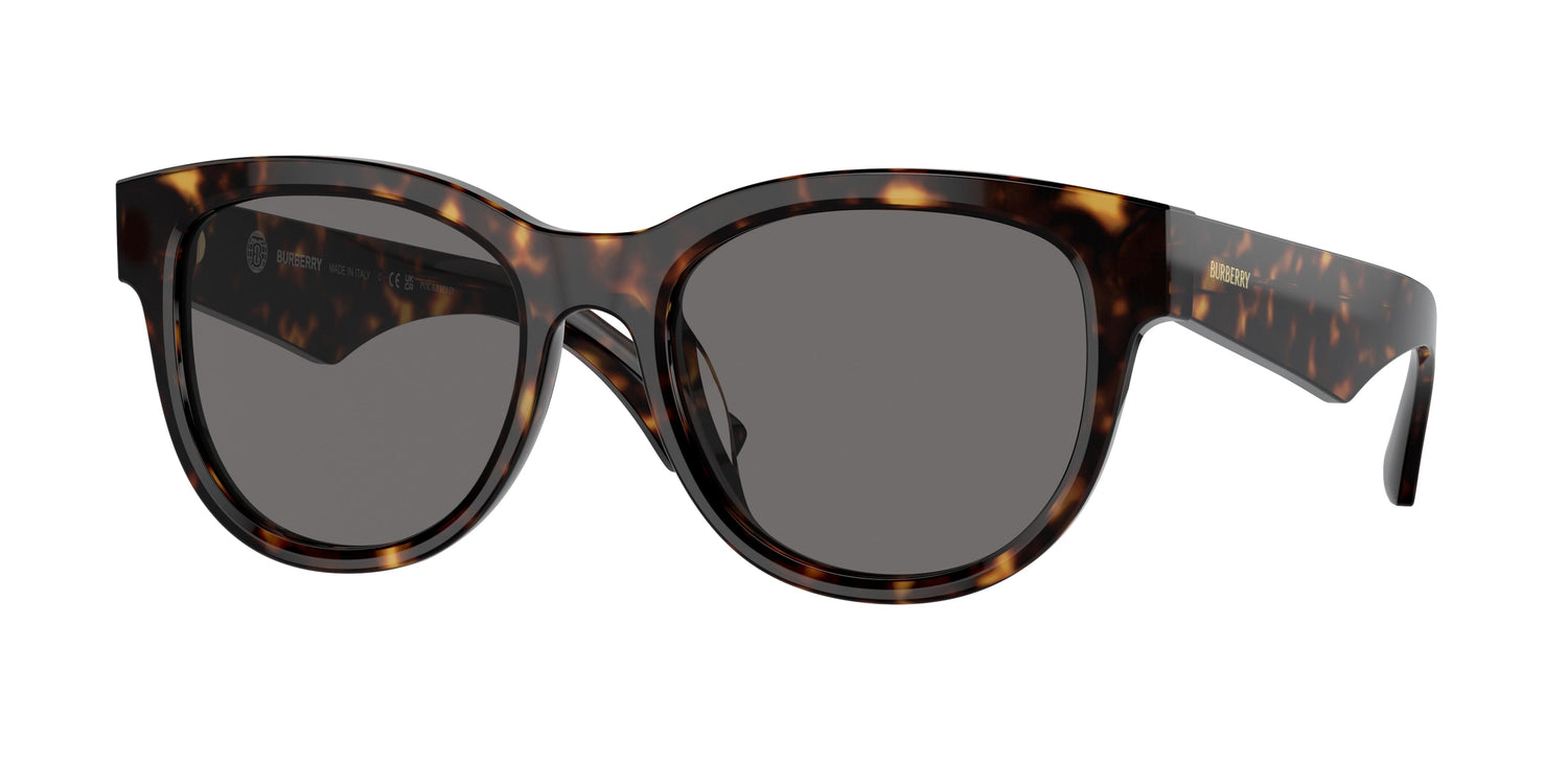 Burberry BE4432U 300281 54