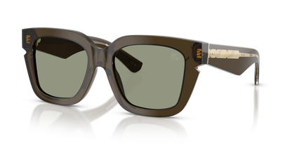 Burberry BE4453 3010/2 54