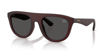 Burberry BE4459U 417187 55