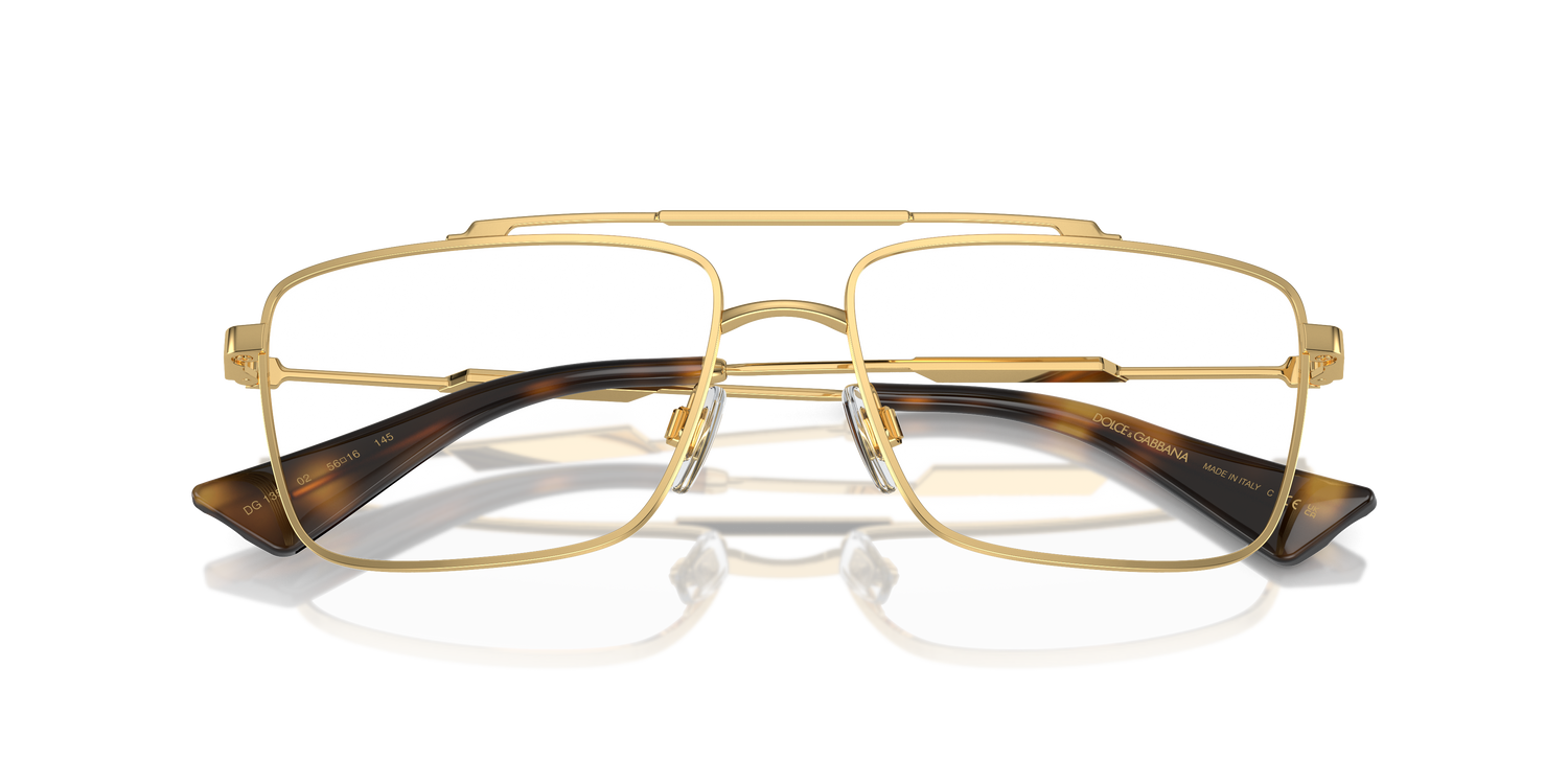 DOLCE &amp; GABBANA DG1354 02 56