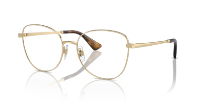 DOLCE &amp; GABBANA DG1355 1365 55