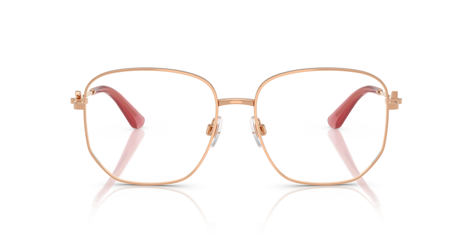 DOLCE &amp; GABBANA DG1356 1298 55