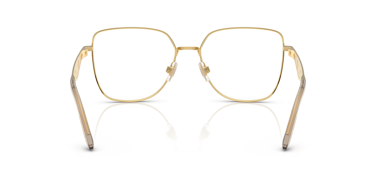 DOLCE &amp; GABBANA DG1358 02 56