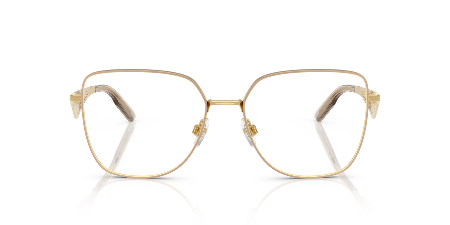 DOLCE &amp; GABBANA DG1358 1366 54