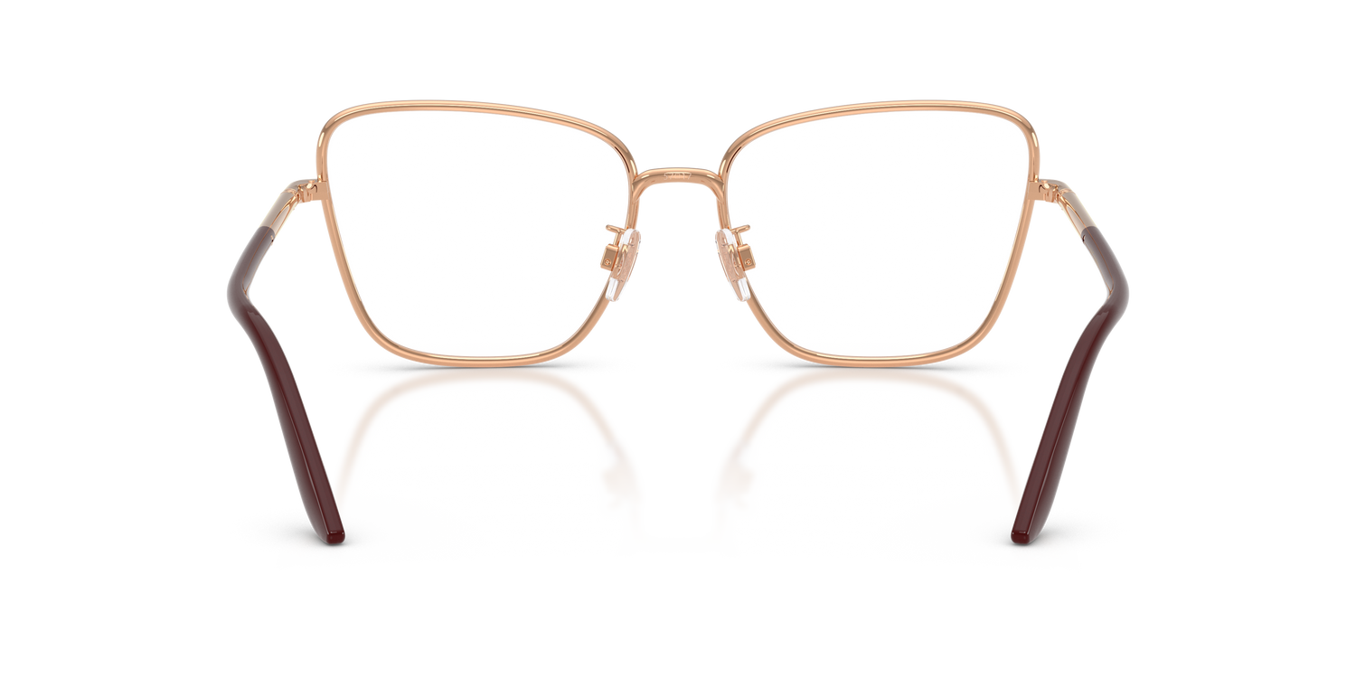 DOLCE &amp; GABBANA DG1359 1298 55
