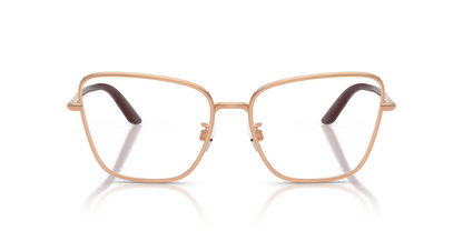 DOLCE &amp; GABBANA DG1359 1298 55