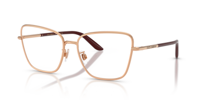 DOLCE &amp; GABBANA DG1359 1298 55