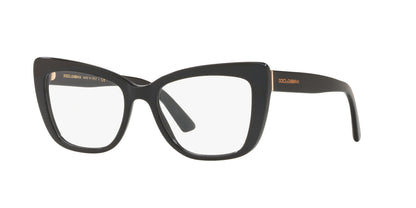 DOLCE &amp; GABBANA DG3308 501 53