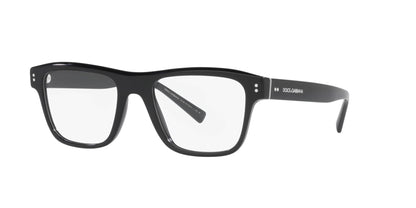 DOLCE &amp; GABBANA DG3362 501 53