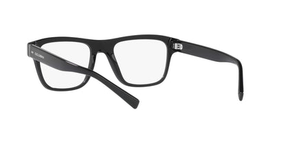 DOLCE &amp; GABBANA DG3362 501 53