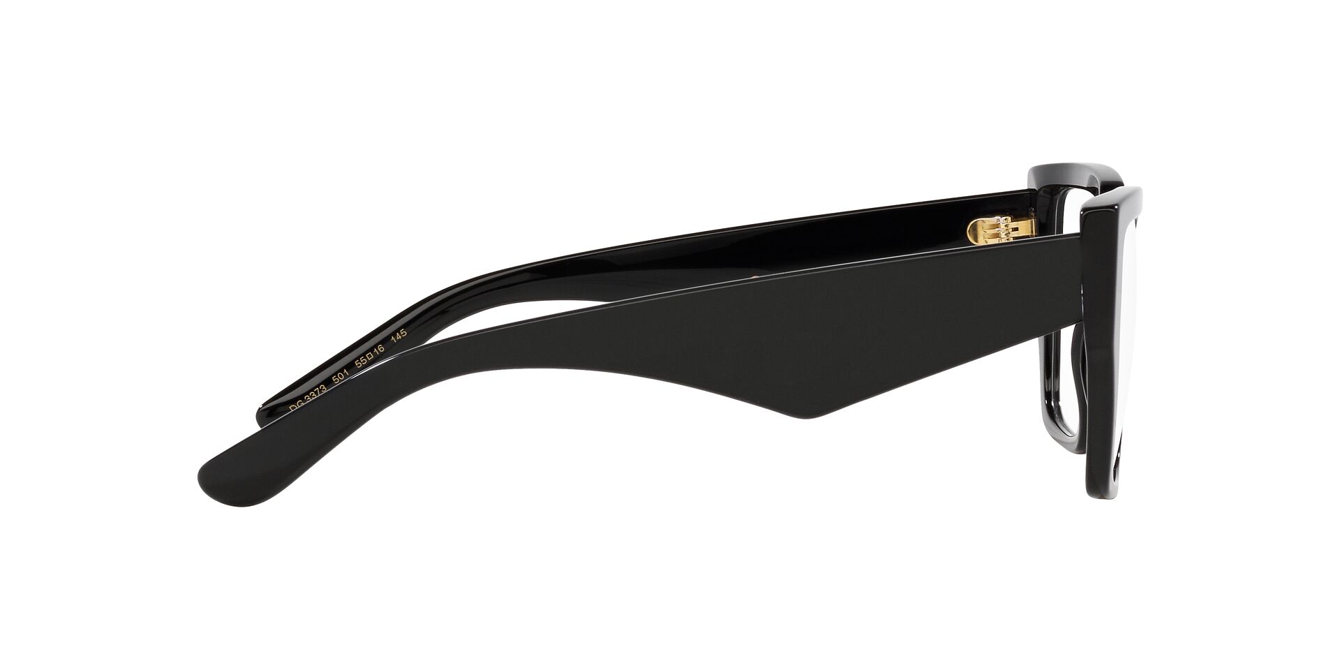 DOLCE &amp; GABBANA DG3373 501 55