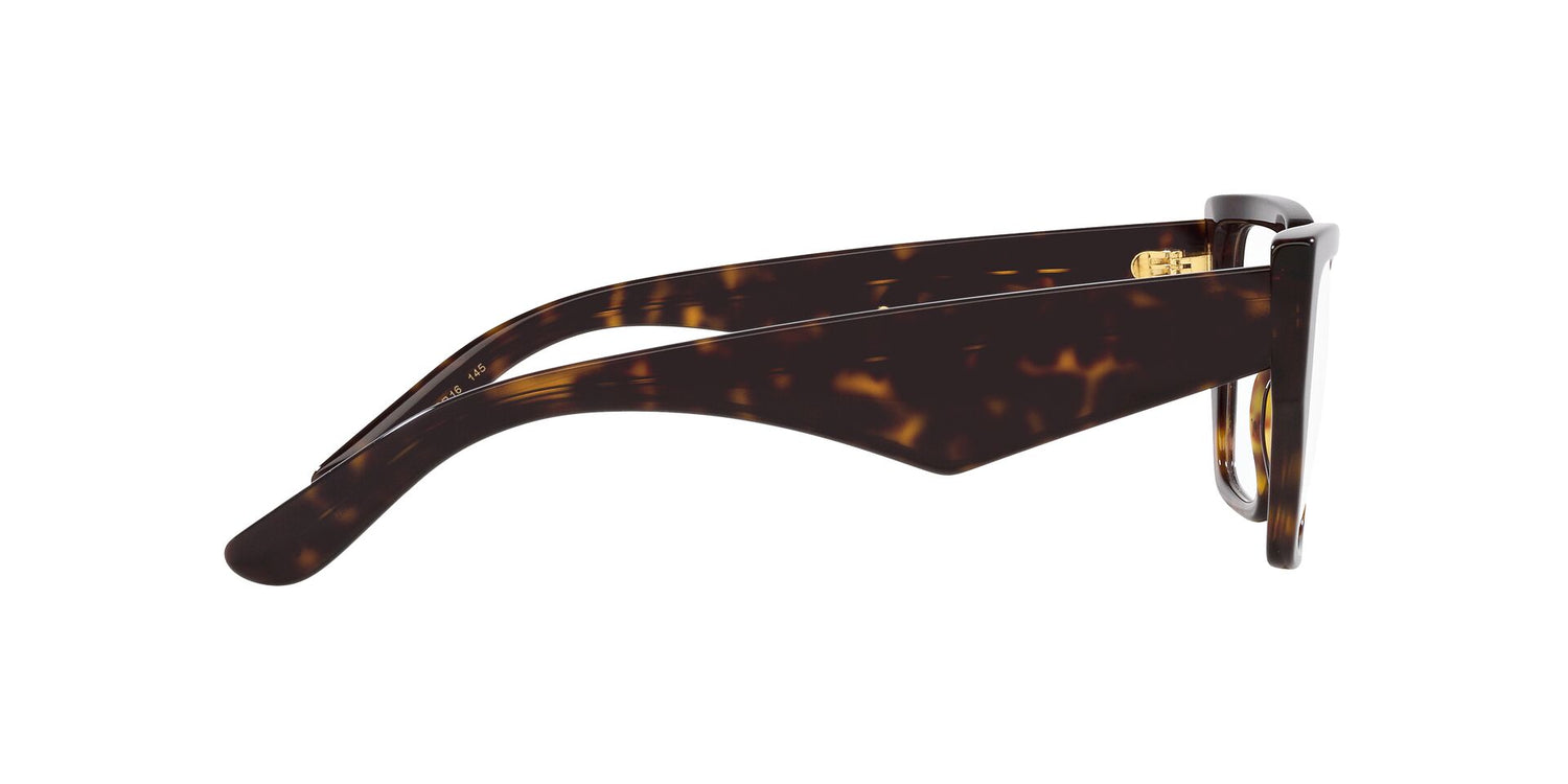 DOLCE &amp; GABBANA DG3373 502 55