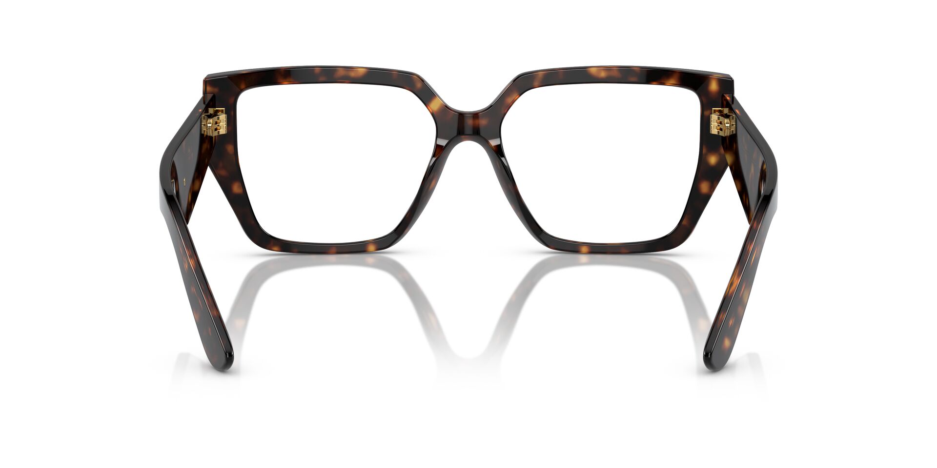 DOLCE &amp; GABBANA DG3373 502 55