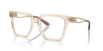 DOLCE &amp; GABBANA DG3376B 3432 53