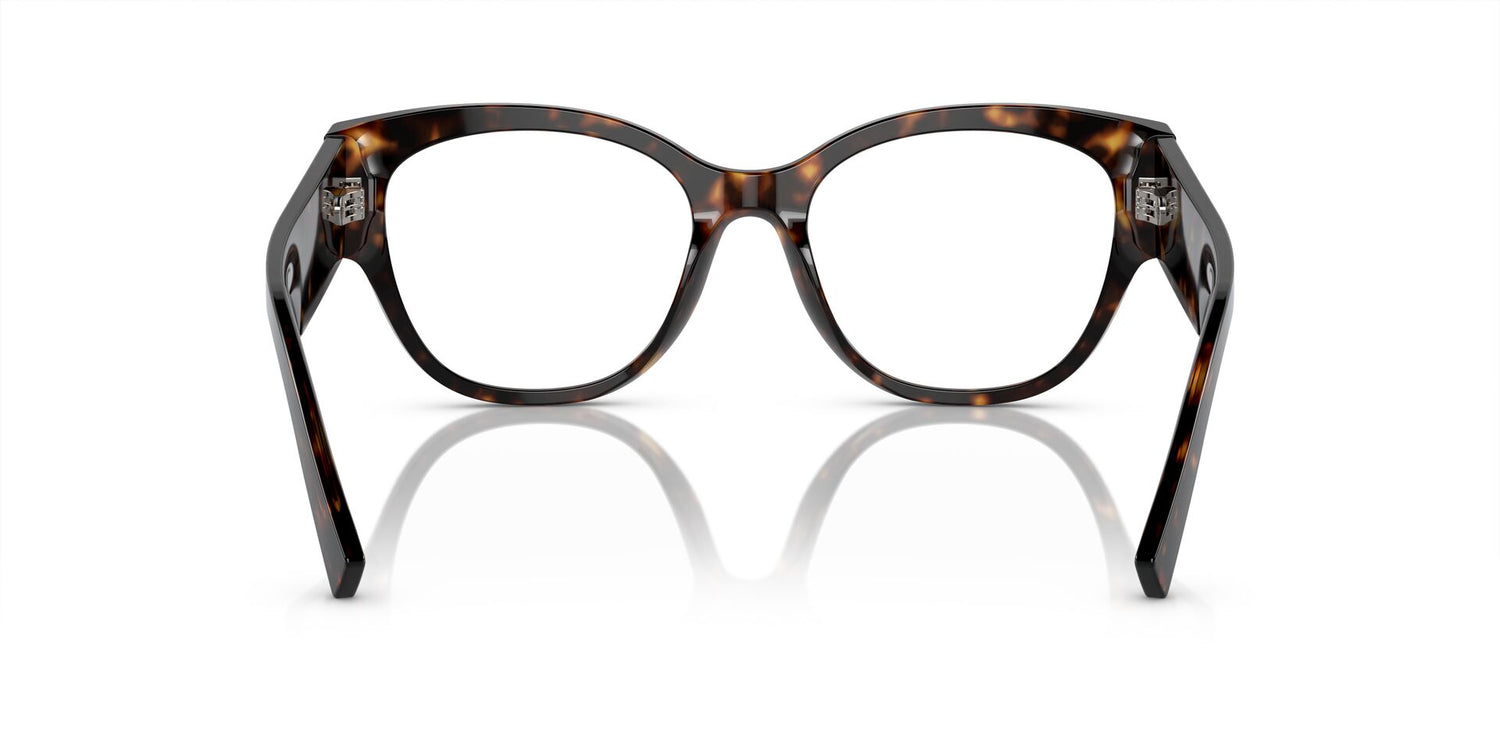 DOLCE &amp; GABBANA DG3377 502 53