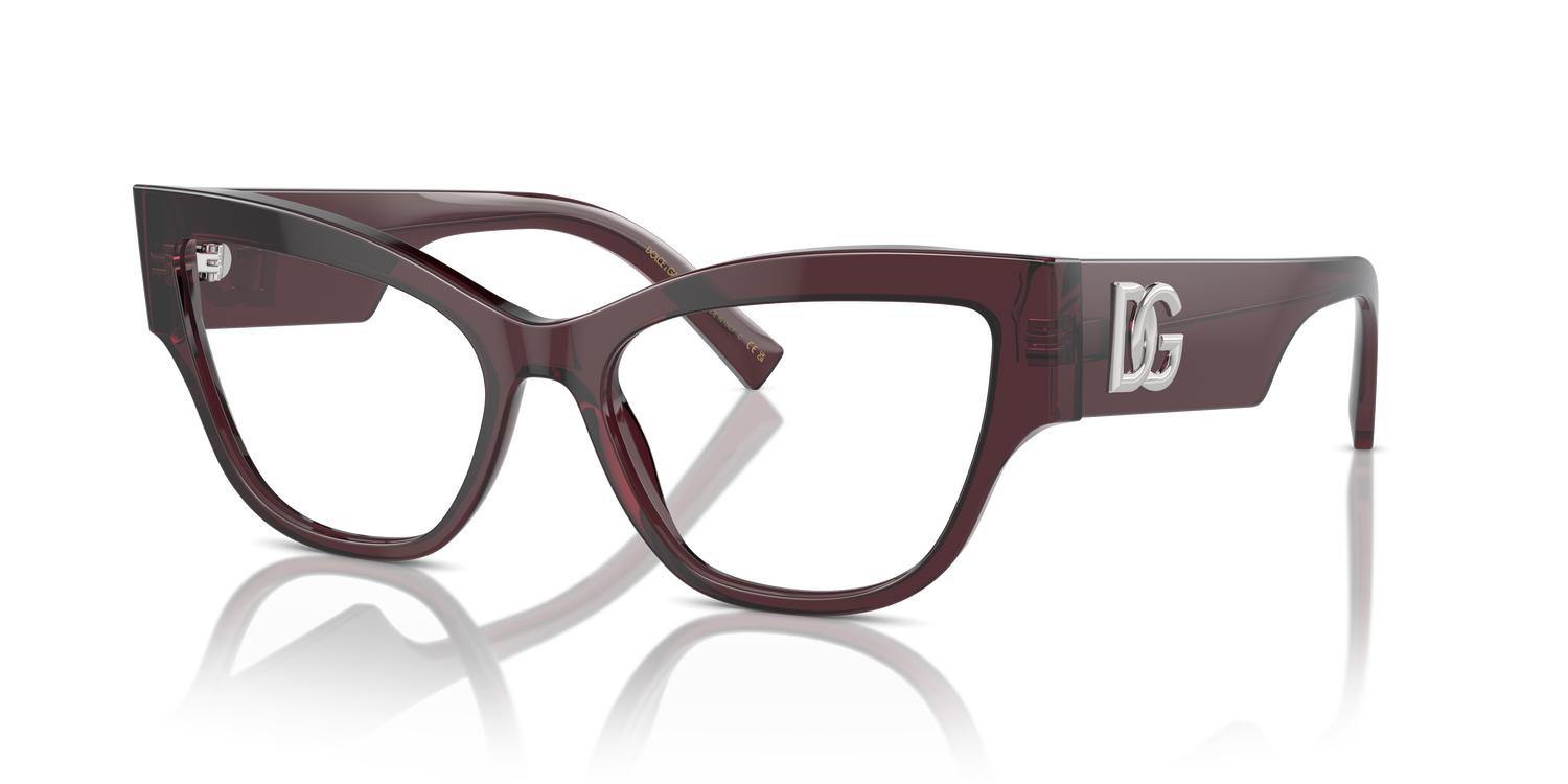 DOLCE &amp; GABBANA DG3378 3045 55