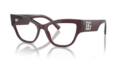 DOLCE &amp; GABBANA DG3378 3045 55