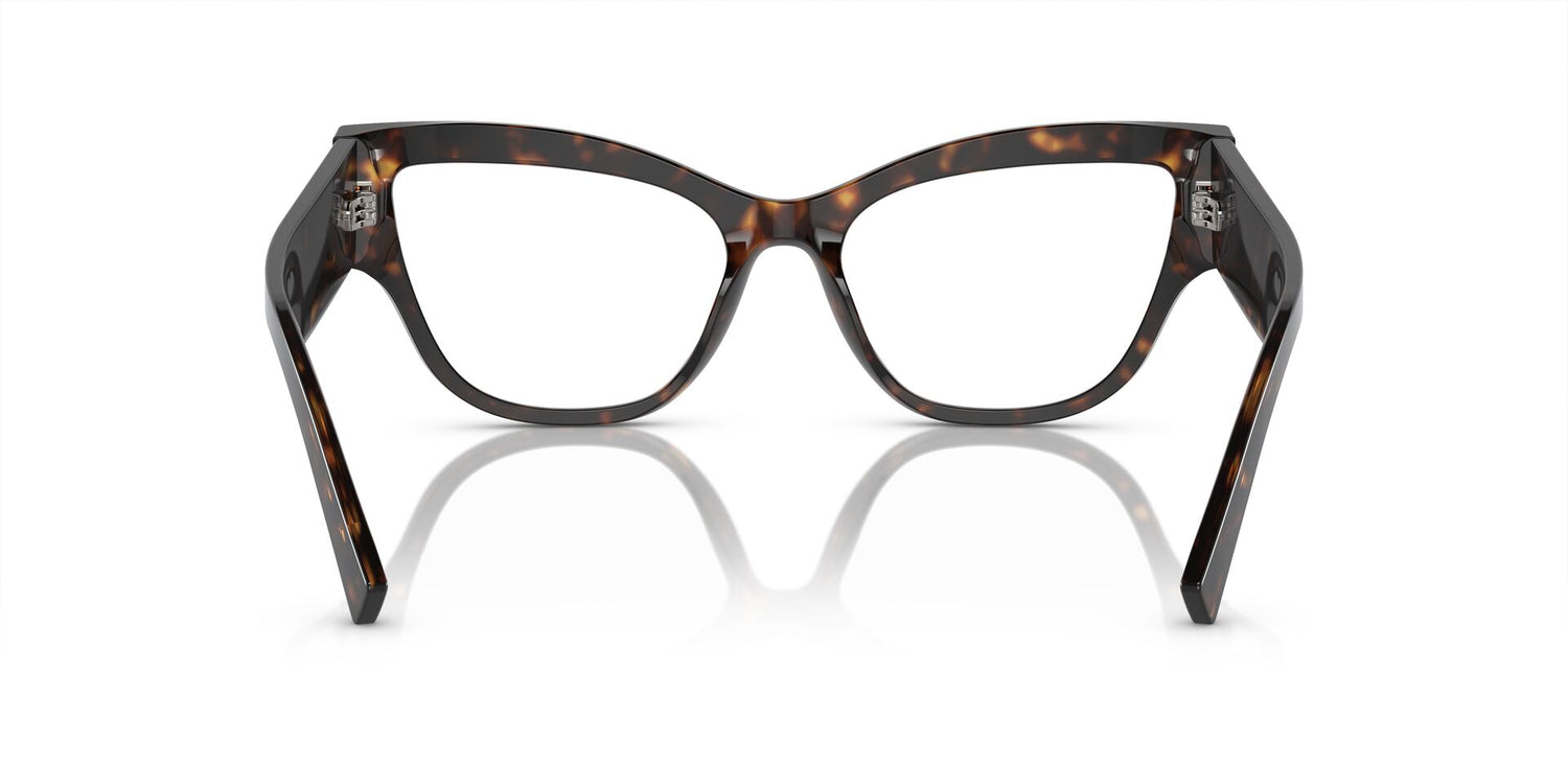 DOLCE &amp; GABBANA DG3378 502 55
