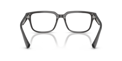 DOLCE &amp; GABBANA DG3380 3160 54