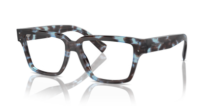 DOLCE &amp; GABBANA DG3383 3392 55