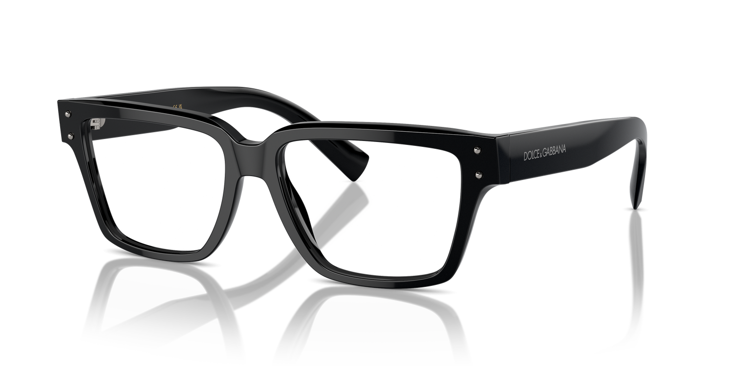 DOLCE &amp; GABBANA DG3383 501 55