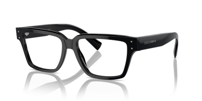 DOLCE &amp; GABBANA DG3383 501 55