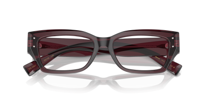 DOLCE &amp; GABBANA DG3387 3045 51