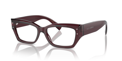 DOLCE &amp; GABBANA DG3387 3045 51