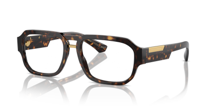 DOLCE &amp; GABBANA DG3389 502 55
