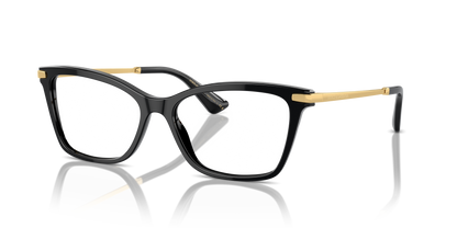 DOLCE &amp; GABBANA DG3393 501 56