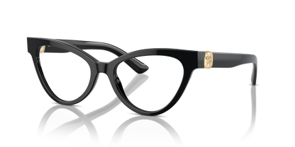 DOLCE &amp; GABBANA DG3394 501 52