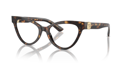 DOLCE &amp; GABBANA DG3394 502 52