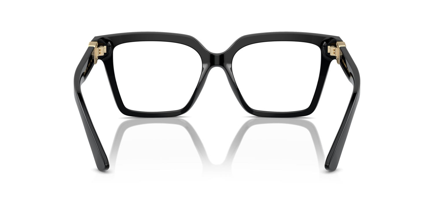 DOLCE &amp; GABBANA DG3395 501 53